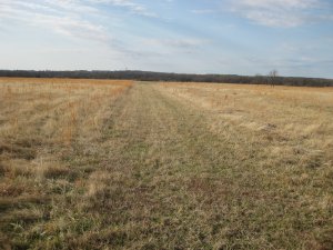 Price's Retreat Tour Stop 3.1 Looking South Down Fort Scott Road